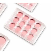 BioLite Microwell Plates