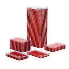 Nunc Cell Factory System