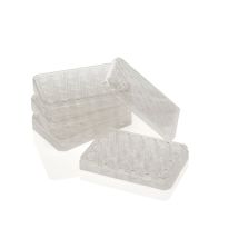 Thermo Scientific Nunc Polycarbonate Cell Culture Inserts In Multi-Well Plates - 140620 (0.4 μm) (24-Well Plate)