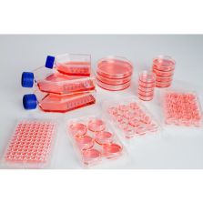 Thermo Scientific 96 Well Plate, Sphera Low-Attachment Surface, Pack of 1 - 174927