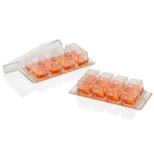 Nunc Lab-Tek Chambered Coverglass