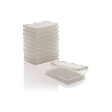 384 Well Plate, TC Surface, Pack of 10
