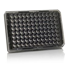 96 Well Black/Clear Bottom Plate, TC Surface