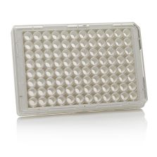 Thermo Scientific Nunc MicroWell 96-Well, Poly-D Lysine-Treated, Flat-Bottom, Optical Polymer Base Microplate - 152028