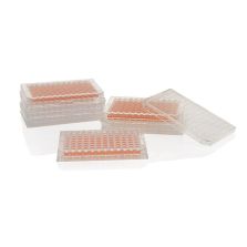 Nunc MicroWell 96-Well, Nunclon Delta-Treated, Flat-Bottom Microplate