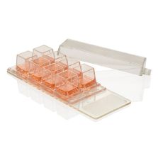 Nunc Lab-Tek Chamber Slide System