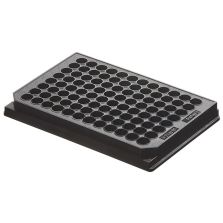 Nunc 96-Well Polypropylene Sample Processing & Storage Microplates