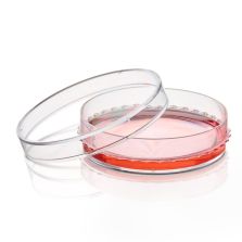 BioLite Cell Culture Treated Dishes