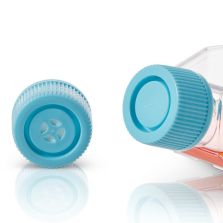 BioLite Cell Culture Treated Flasks