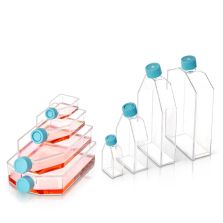 BioLite Cell Culture Treated Flasks