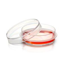 Nunc EasYDish Dishes with Nunclon Supra Surface