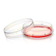 Nunc EasYDish Dishes with Nunclon Supra Surface