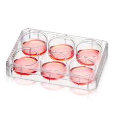 Thermo Scientific Nunc Poly-D-Lysine Or Collagen I Coated Multidishes - 152034