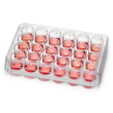 Thermo Scientific Nunc Poly-D-Lysine Or Collagen I Coated Multidishes - 152025