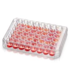 Nunc Multidishes With Nunclon Supra Surface