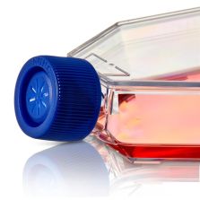 Nunc Non-Treated Flasks