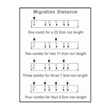 Owl A2-MT2D HORIZONTAL COMB 2X MICRO WELL