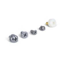 Thermo Scientific 88882130 Screw GB/T819.1 M4x8; 4ea