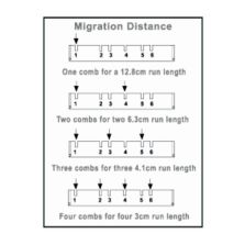 THERMO D3-MT2C HORIZONTAL COMB 2X MICRO WELL