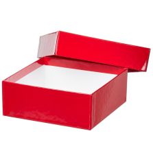 Thermo Scientific 1950880 2" Red Fiberboard Boxes 12 pk
