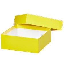 Thermo Scientific 1950881 2" Yellow Fiberboard Box 12 pk
