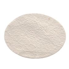 Nalgene Membrane and Prefilter Disks