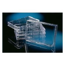 Nunc OmniTray Single-Well Plate