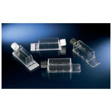 Nunc Lab-Tek Flask On Slide