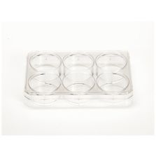Nunc Cell-Culture Treated Multidishes