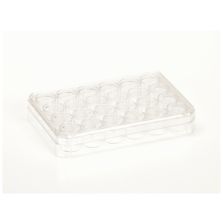 Nunc Cell-Culture Treated Multidishes