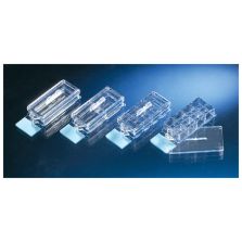 Nunc Lab-Tek II CC2 Chamber Slide System