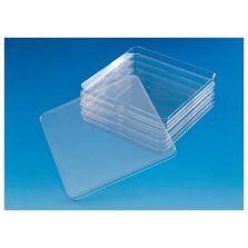 Nunc Square BioAssay Dishes