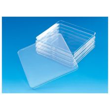 Nunc Square BioAssay Dishes