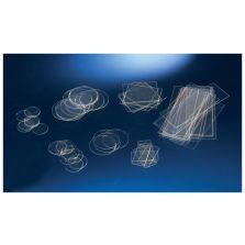 Nunc Thermanox Coverslips