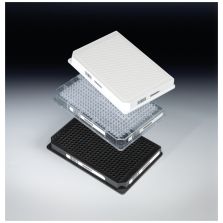 Nunc 384 Well ShallowWell Standard Height Clear Plates