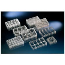 Nunc Cell-Culture Treated Multidishes