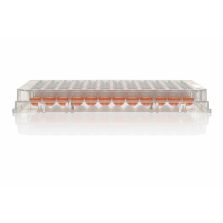 Thermo Scientific Nunclon Sphera 96-Well, Nunclon Sphera-Treated, U-Shaped-Bottom Microplate - 174925