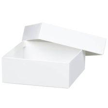 Thermo Scientific 5954 BOX 2