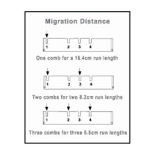 Owl D4-17C D4 17 WELL COMB 1.0MM THICK