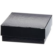 Thermo Scientific 1950884 2" Black Fiberboard Boxes 12 pk