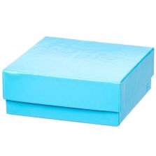 Thermo Scientific 1950883 2" Blue Fiberboard Boxes 12 pk