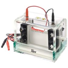 Thermo Scientific Owl P10DS-3 PENGUIN DUAL GEL SYSTEM