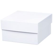 Thermo Scientific 5956 BOX 3