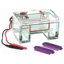 THERMO B1A-GK REPLACEMENT GASKETS