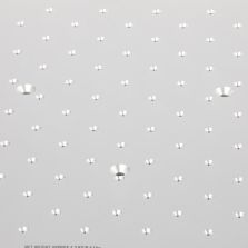 Thermo Scientific SK1818D Solaris 18x18 dual stack plat