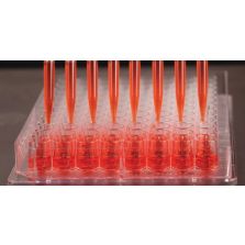 96 Well Edge Plate, Non-Treated Surface, No Lid, Non-Sterile, Pack of 1