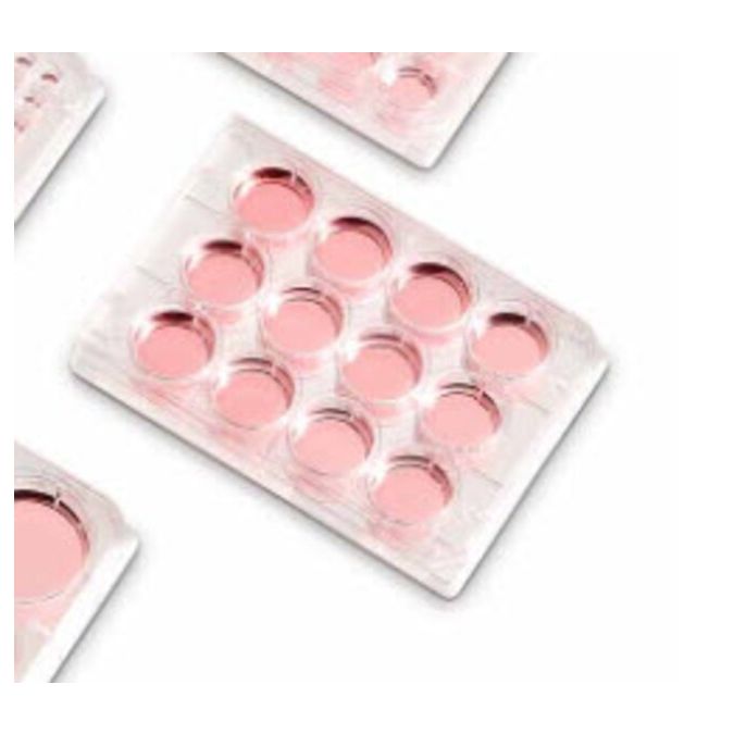 Thermo Scientific BioLite Microwell Plates - 12 wells - 3.8 cm2 culture area - 130185