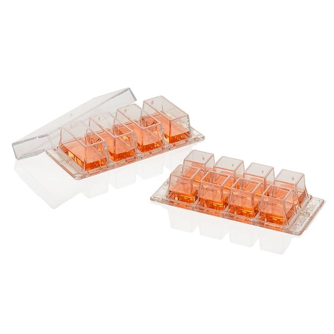 Nunc Lab-Tek Chambered Coverglass