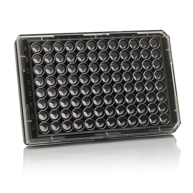 Thermo Scientific 96 Well Black/Clear Bottom Plate, TC Surface - 96 wells - 50 to 200 mL - 165305