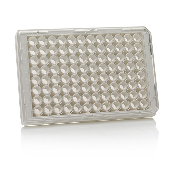 Thermo Scientific 96 Well Black/Clear Bottom Plate, Non-Treated Surface, No Lid, Non-Sterile, Pack of 10 - 96 wells - 50 to 200 μL - 265301